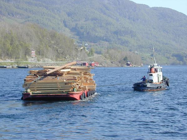 Skogen på vei ut fjorden